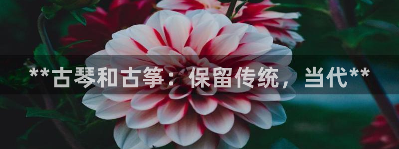 凯发正规网站:**古琴和古筝:保留传统,当代**