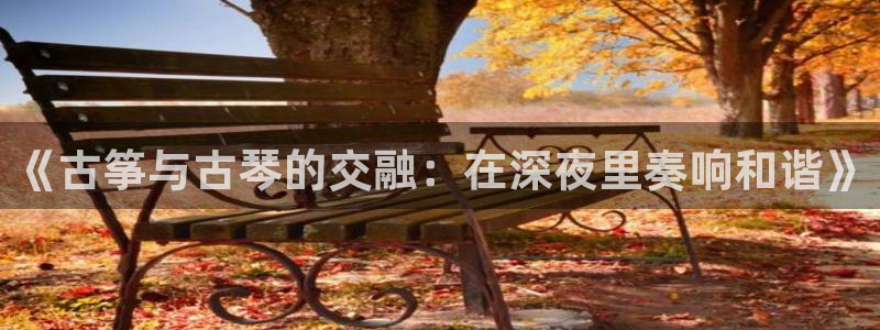 国际凯发k8真人版旗舰厅:《古筝与古琴的交融:在深夜里奏响和