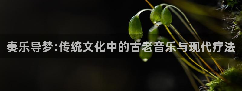 凯发app平台:奏乐导梦:传统文化中的古老音乐与现代疗法